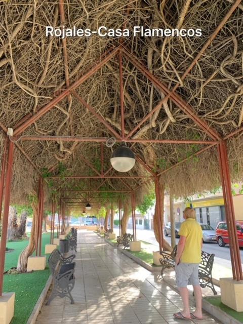 Casa Flamencos Βίλα Rojales Εξωτερικό φωτογραφία